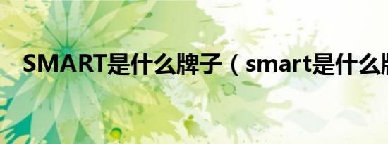 SMART是什么牌子（smart是什么牌子）