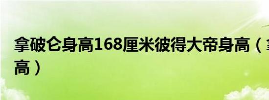 拿破仑身高168厘米彼得大帝身高（拿破仑身高）