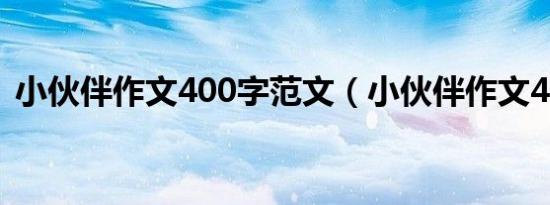 小伙伴作文400字范文（小伙伴作文400字）