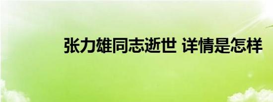 张力雄同志逝世 详情是怎样