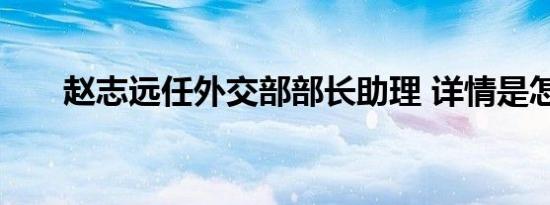 赵志远任外交部部长助理 详情是怎样