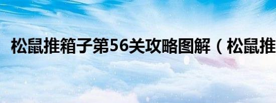 松鼠推箱子第56关攻略图解（松鼠推箱子）