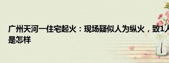 广州天河一住宅起火：现场疑似人为纵火，致1人死亡 详情是怎样