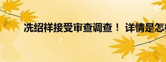 冼绍祥接受审查调查！ 详情是怎样