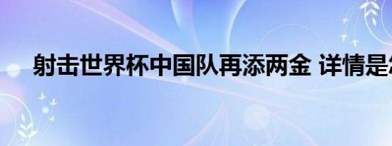 射击世界杯中国队再添两金 详情是怎样