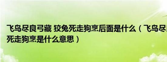 飞鸟尽良弓藏 狡兔死走狗烹后面是什么（飞鸟尽良弓藏狡兔死走狗烹是什么意思）