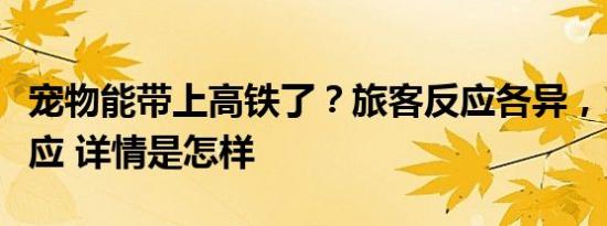 宠物能带上高铁了？旅客反应各异，12306回应 详情是怎样