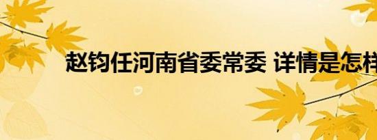 赵钧任河南省委常委 详情是怎样