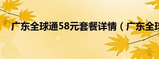 广东全球通58元套餐详情（广东全球通）