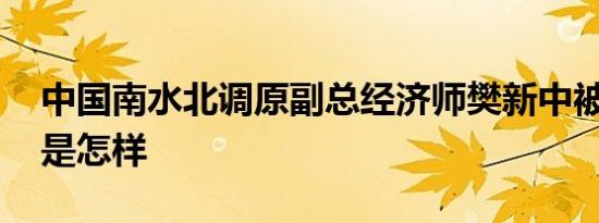 中国南水北调原副总经济师樊新中被查 详情是怎样