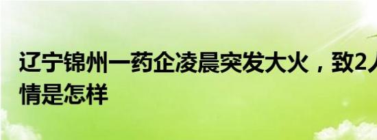 辽宁锦州一药企凌晨突发大火，致2人死亡 详情是怎样