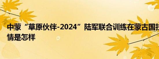 中蒙“草原伙伴-2024”陆军联合训练在蒙古国拉开帷幕 详情是怎样