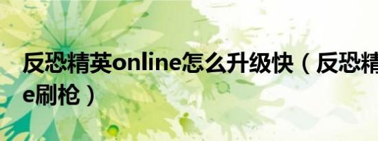 反恐精英online怎么升级快（反恐精英online刷枪）