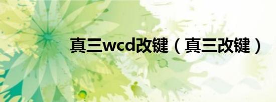 真三wcd改键（真三改键）