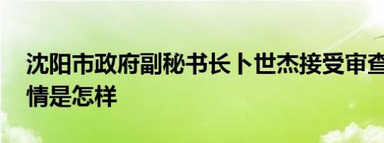 沈阳市政府副秘书长卜世杰接受审查调查 详情是怎样