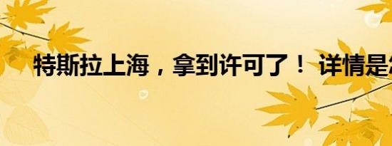 特斯拉上海，拿到许可了！ 详情是怎样