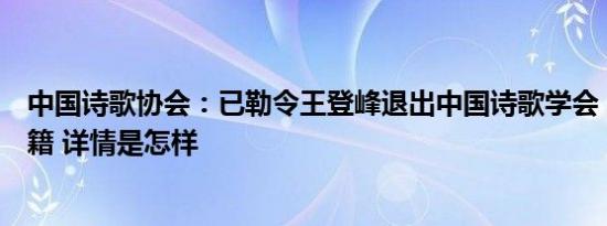 中国诗歌协会：已勒令王登峰退出中国诗歌学会，取消其会籍 详情是怎样