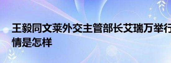 王毅同文莱外交主管部长艾瑞万举行会谈 详情是怎样