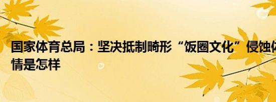 国家体育总局：坚决抵制畸形“饭圈文化”侵蚀体育领域 详情是怎样