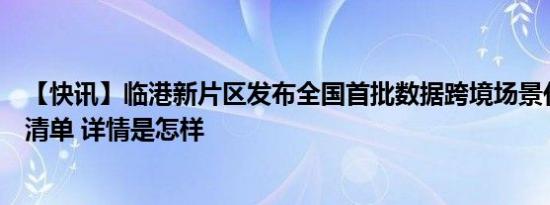 【快讯】临港新片区发布全国首批数据跨境场景化一般数据清单 详情是怎样