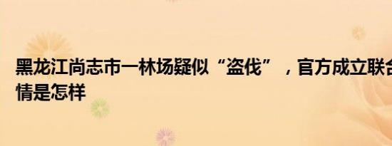 黑龙江尚志市一林场疑似“盗伐”，官方成立联合调查组 详情是怎样