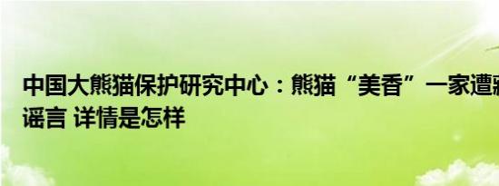 中国大熊猫保护研究中心：熊猫“美香”一家遭藏匿虐待系谣言 详情是怎样