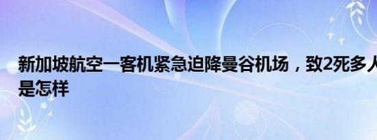 新加坡航空一客机紧急迫降曼谷机场，致2死多人受伤 详情是怎样