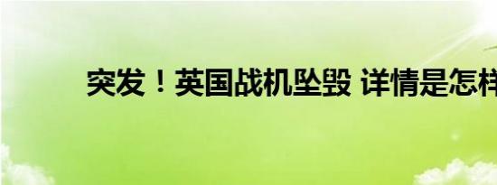 突发！英国战机坠毁 详情是怎样