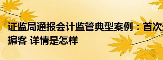 证监局通报会计监管典型案例：首次追究审计掮客 详情是怎样