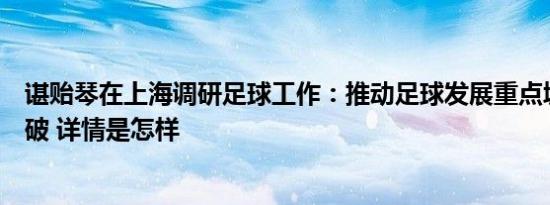 谌贻琴在上海调研足球工作：推动足球发展重点城市创新突破 详情是怎样