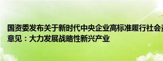 国资委发布关于新时代中央企业高标准履行社会责任的指导意见：大力发展战略性新兴产业