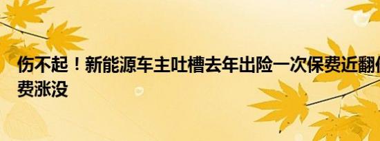 伤不起！新能源车主吐槽去年出险一次保费近翻倍：你的保费涨没