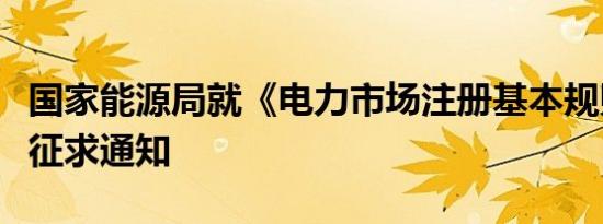 国家能源局就《电力市场注册基本规则》公开征求通知