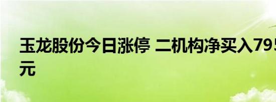 玉龙股份今日涨停 二机构净买入7952.07万元