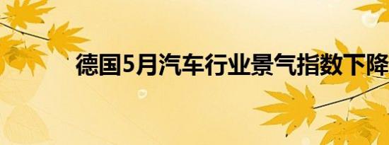 德国5月汽车行业景气指数下降