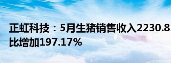 正虹科技：5月生猪销售收入2230.82万元 环比增加197.17%