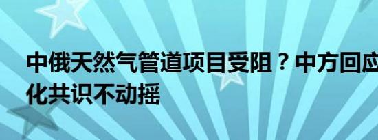 中俄天然气管道项目受阻？中方回应 合作深化共识不动摇