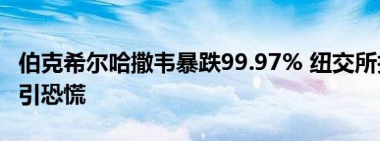 伯克希尔哈撒韦暴跌99.97% 纽交所技术故障引恐慌