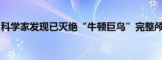 科学家发现已灭绝“牛顿巨鸟”完整颅骨化石