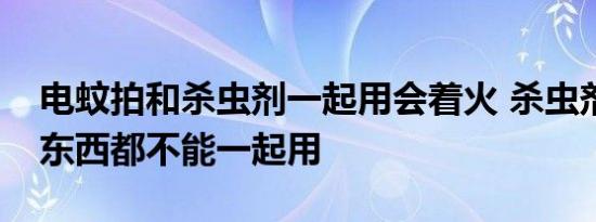 电蚊拍和杀虫剂一起用会着火 杀虫剂和这些东西都不能一起用