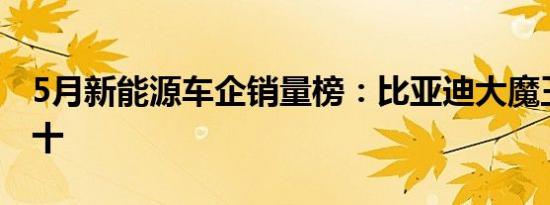 5月新能源车企销量榜：比亚迪大魔王以一打十