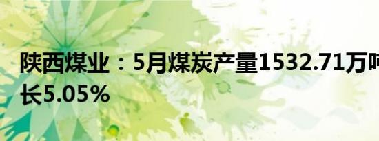 陕西煤业：5月煤炭产量1532.71万吨 同比增长5.05%