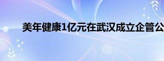 美年健康1亿元在武汉成立企管公司