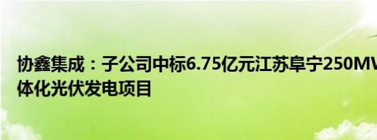 协鑫集成：子公司中标6.75亿元江苏阜宁250MW渔光储一体化光伏发电项目