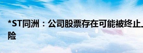 *ST同洲：公司股票存在可能被终止上市的风险