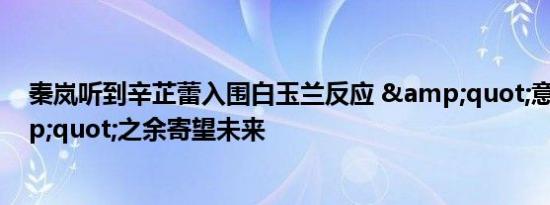 秦岚听到辛芷蕾入围白玉兰反应 &quot;意难平&quot;之余寄望未来