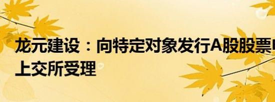 龙元建设：向特定对象发行A股股票申请获得上交所受理