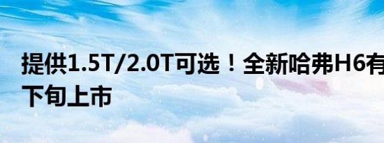 提供1.5T/2.0T可选！全新哈弗H6有望6月中下旬上市