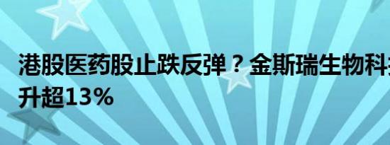 港股医药股止跌反弹？金斯瑞生物科技一度飙升超13%