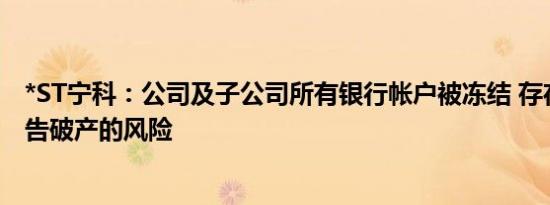 *ST宁科：公司及子公司所有银行帐户被冻结 存在被法院宣告破产的风险